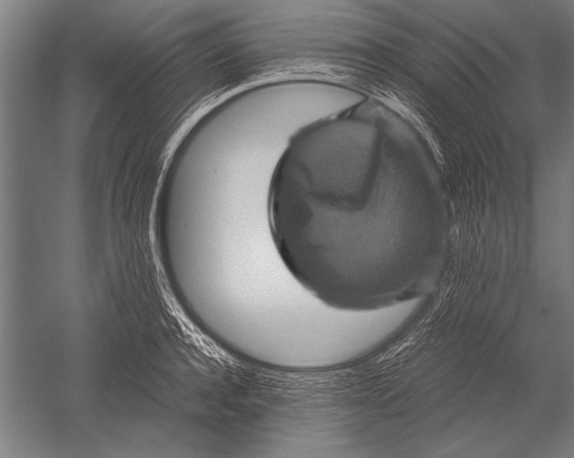 X0000051240944200507082120