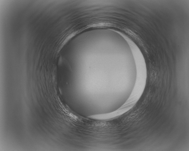 X0000051240945200507082120