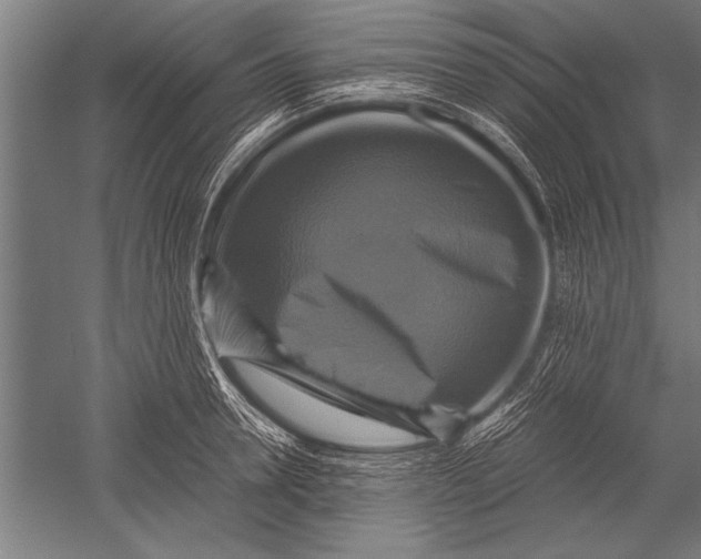 X0000051240946200507082120