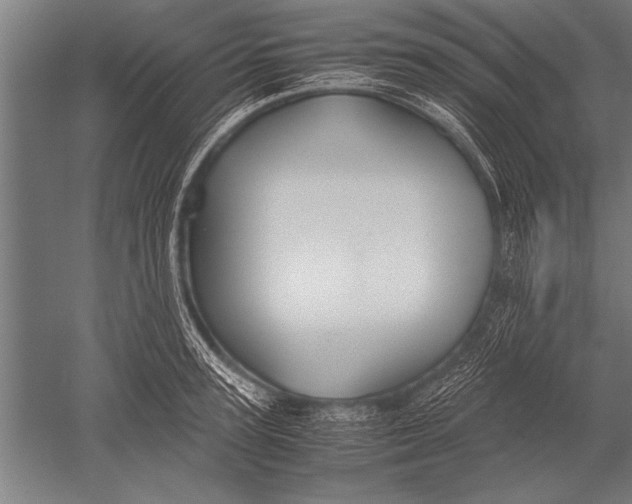 X0000051240947200507082120