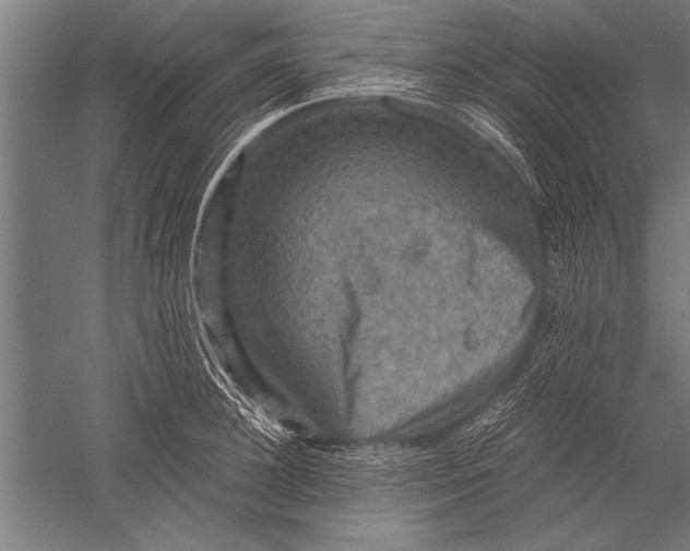 X0000051240948200507082120