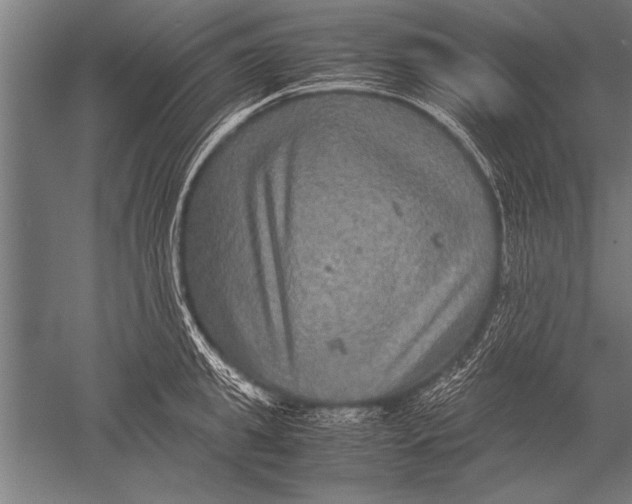 X0000051240949200507082120