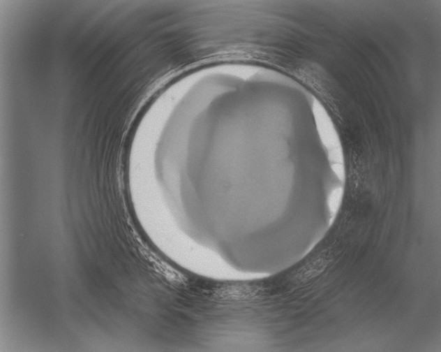 X0000051240950200507082121