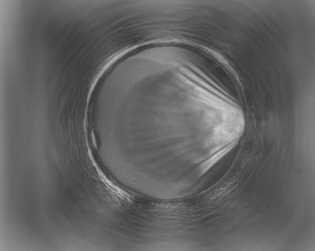 X0000051240951200507082121