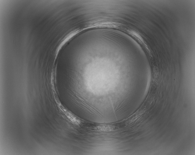 X0000051240952200507082121