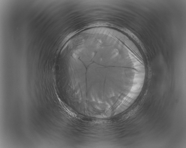 X0000051240953200507082121