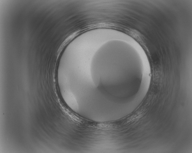 X0000051240954200507082121