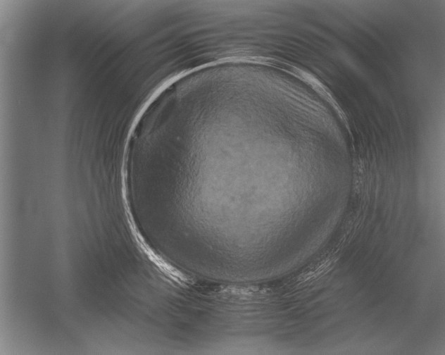 X0000051240955200507082121