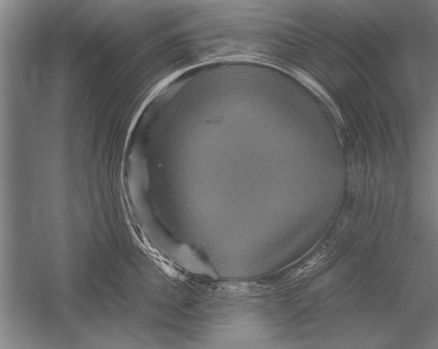 X0000051240956200507082121