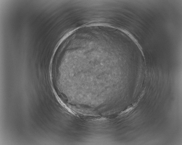 X0000051240957200507082121