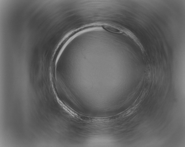 X0000051240958200507082121