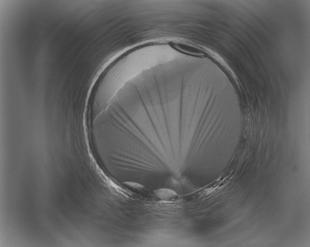 X0000051240959200507082121