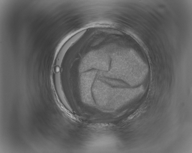 X0000051240960200507082121