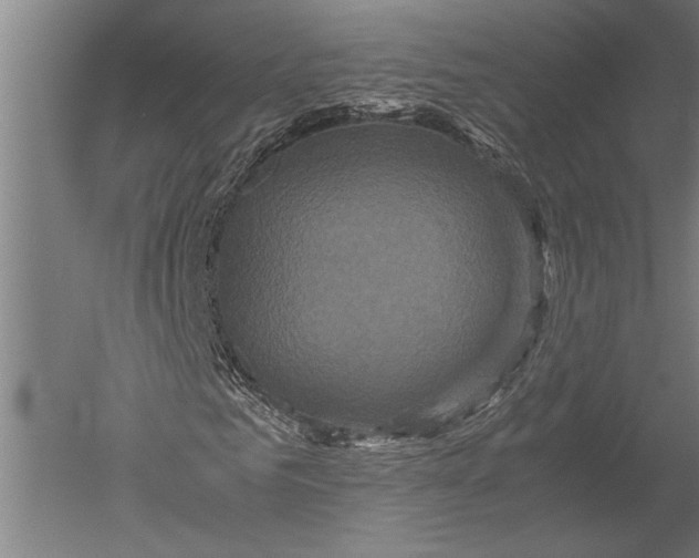 X0000051240961200507082120