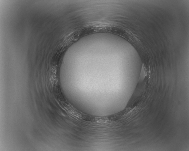 X0000051240964200507082120