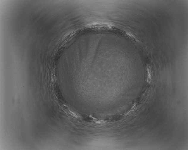 X0000051240965200507082120