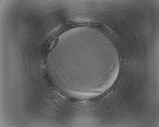 X0000051240966200507082120