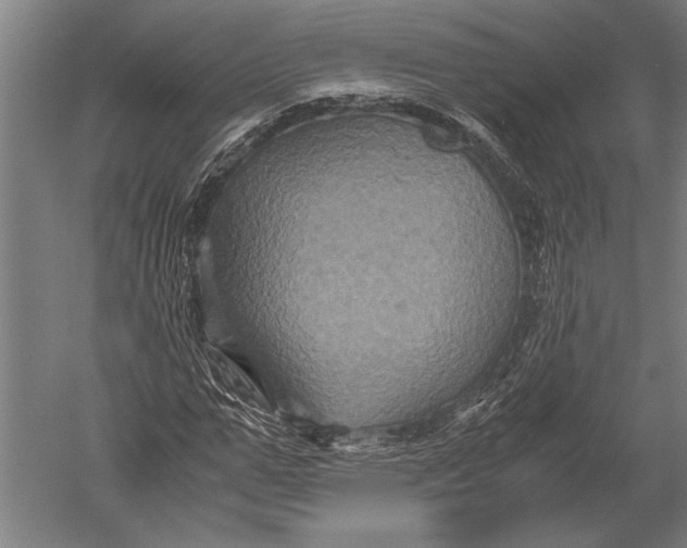 X0000051240967200507082120