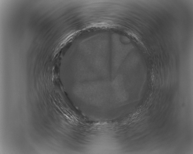 X0000051240968200507082120