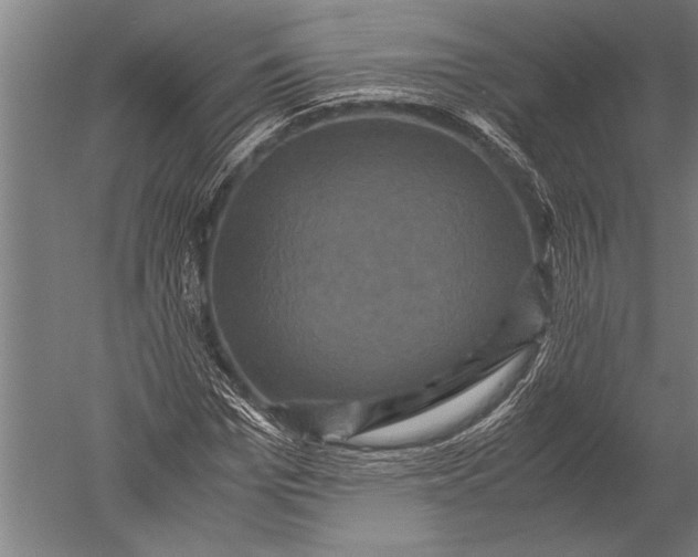 X0000051240969200507082120