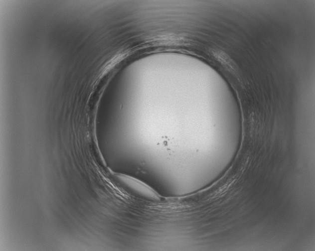 X0000051240970200507082120