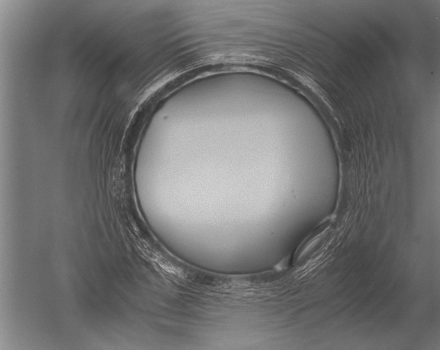 X0000051240971200507082120