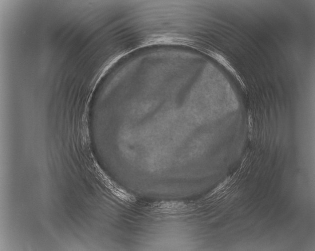 X0000051240972200507082120