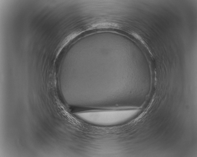 X0000051240973200507082120