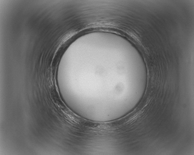 X0000051240974200507082120