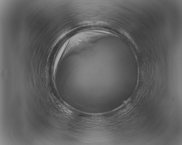 X0000051240975200507082120