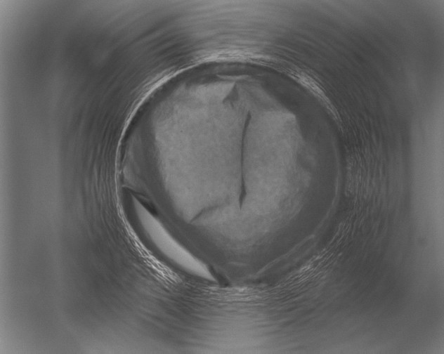 X0000051240976200507082120