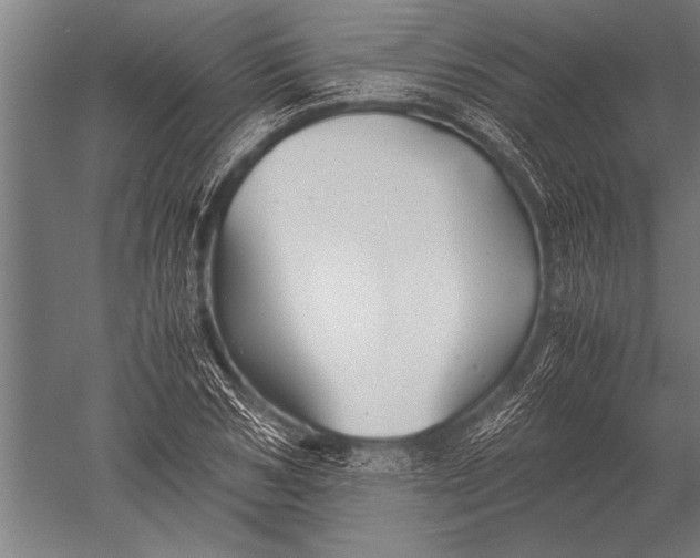 X0000051240978200507082120