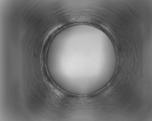 X0000051240979200507082120