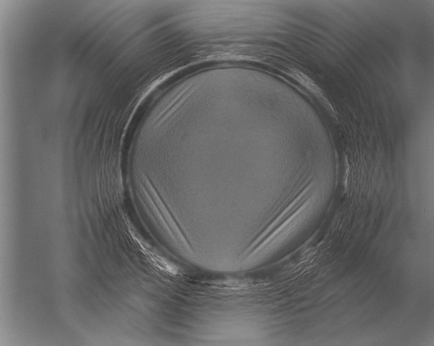 X0000051240980200507082120