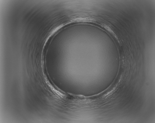 X0000051240981200507082120