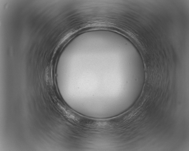 X0000051240982200507082119