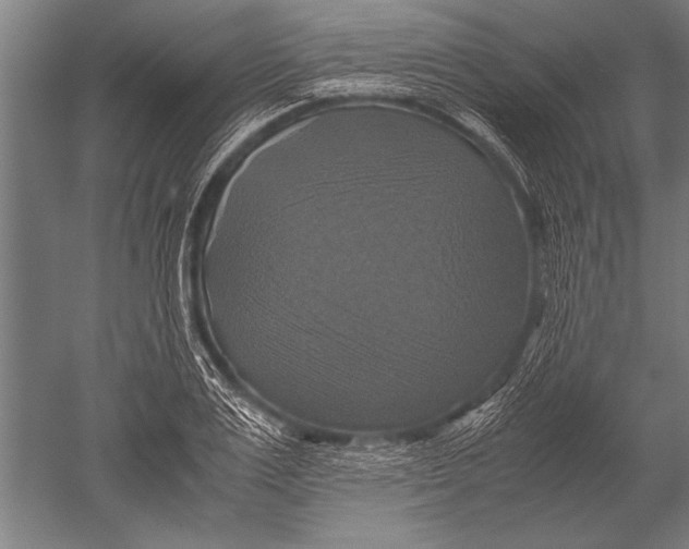 X0000051240983200507082119