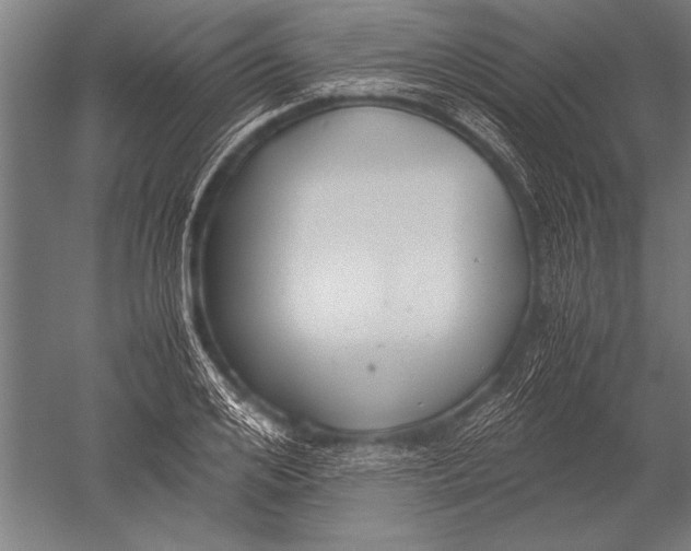 X0000051240984200507082119