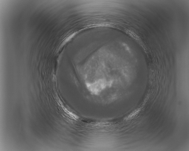 X0000051240985200507082119