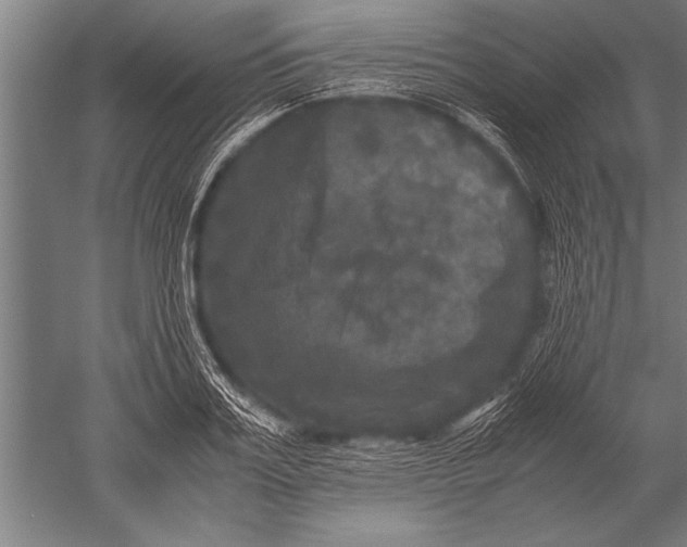 X0000051240987200507082119