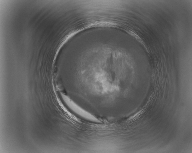 X0000051240989200507082119