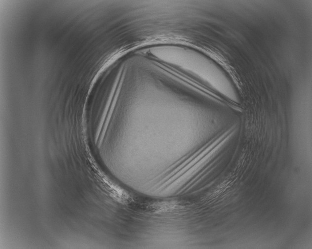 X0000051240990200507082119