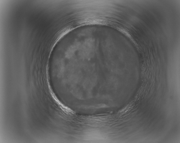 X0000051240991200507082119