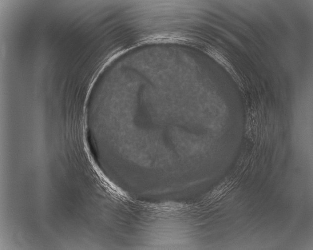 X0000051240992200507082119