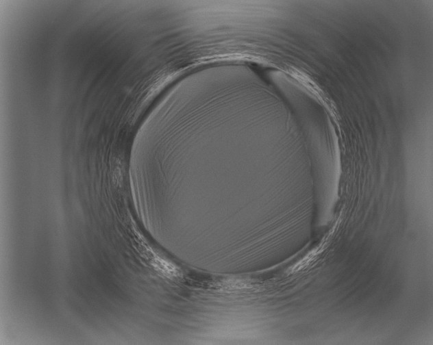 X0000051240993200507082119