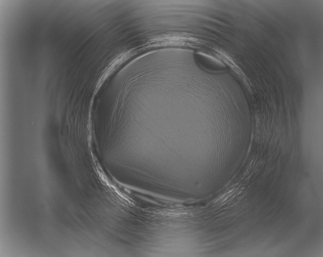 X0000051240994200507082119