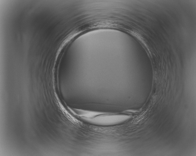 X0000051240995200507082119