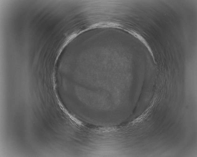 X0000051240997200507082119