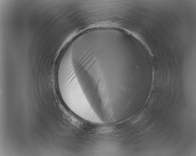 X0000051240998200507082119