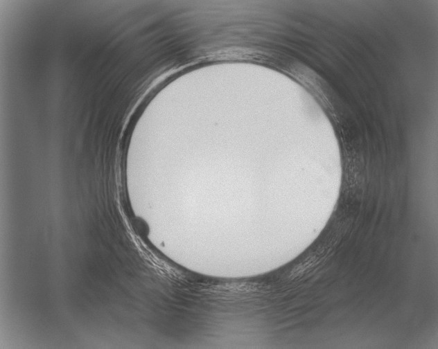 X0000051241000200507082119